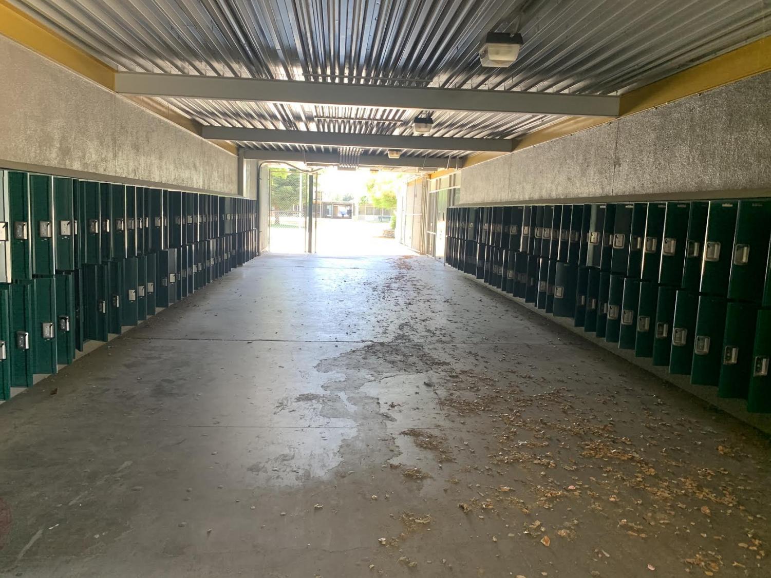 Student Check-Out