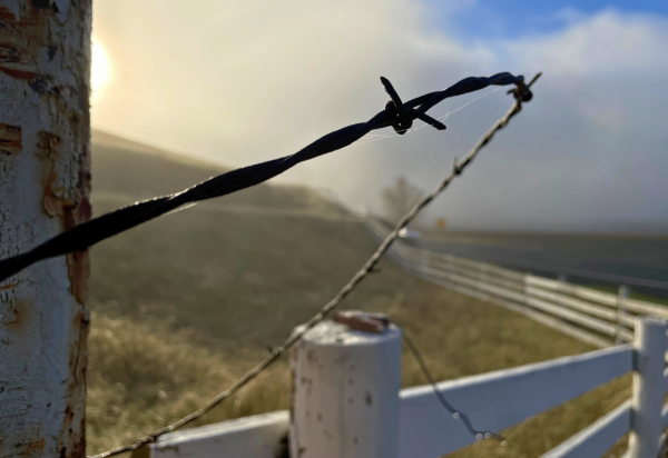 Eleanor Thornton's photo was chosen for the 2025 Viewpoint Gallery Photographic Art Center student show, "Barriers and Bridges," featuring works from high school and college students throughout the Sacramento area. 