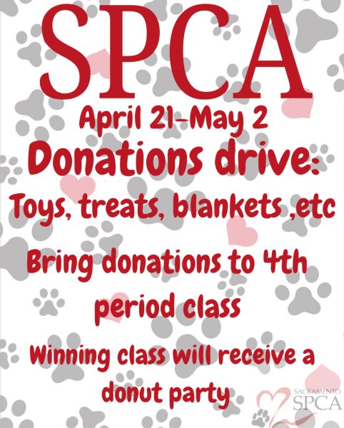 Civitas Seniors Hosting SPCA Donation Drive Next Week