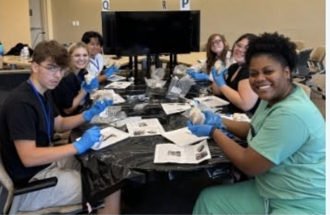 Students at the summer 2024 UC Davis program.