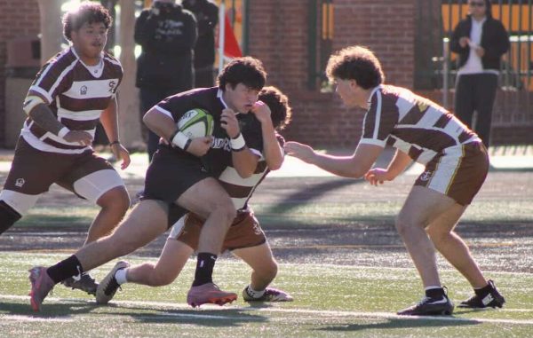 Chris Chatzis Senior Sports Profile