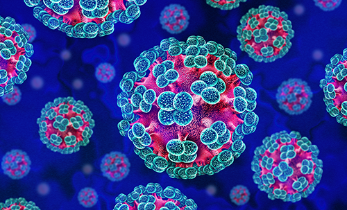 Cruise Ship Hantavirus Outbreak Raises Questions About Public Health