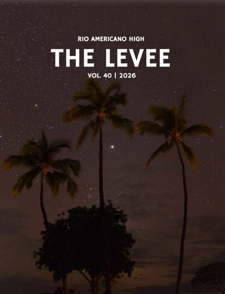 The Levee - 2026