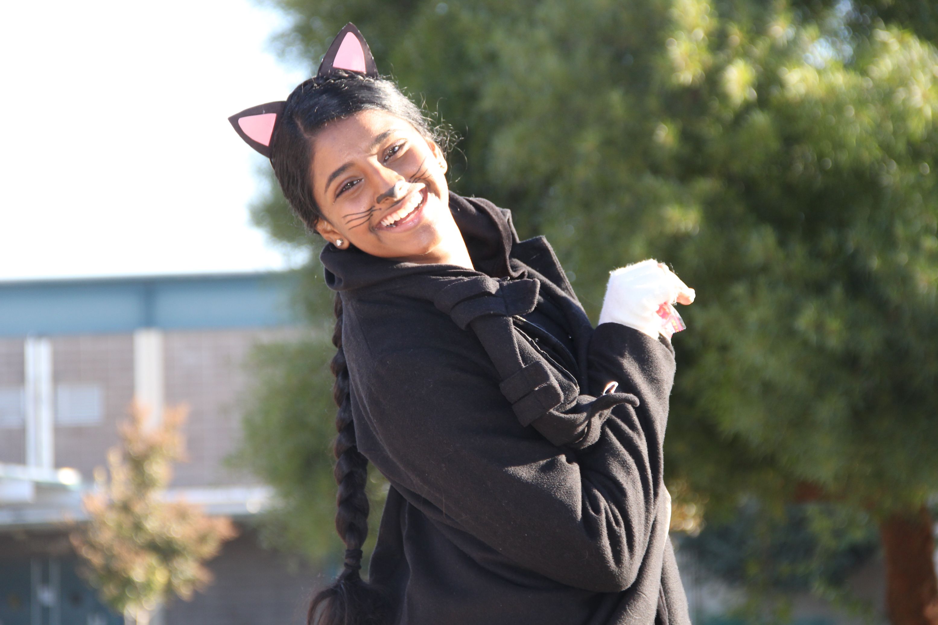 Halloween Costumes of Rio 2013