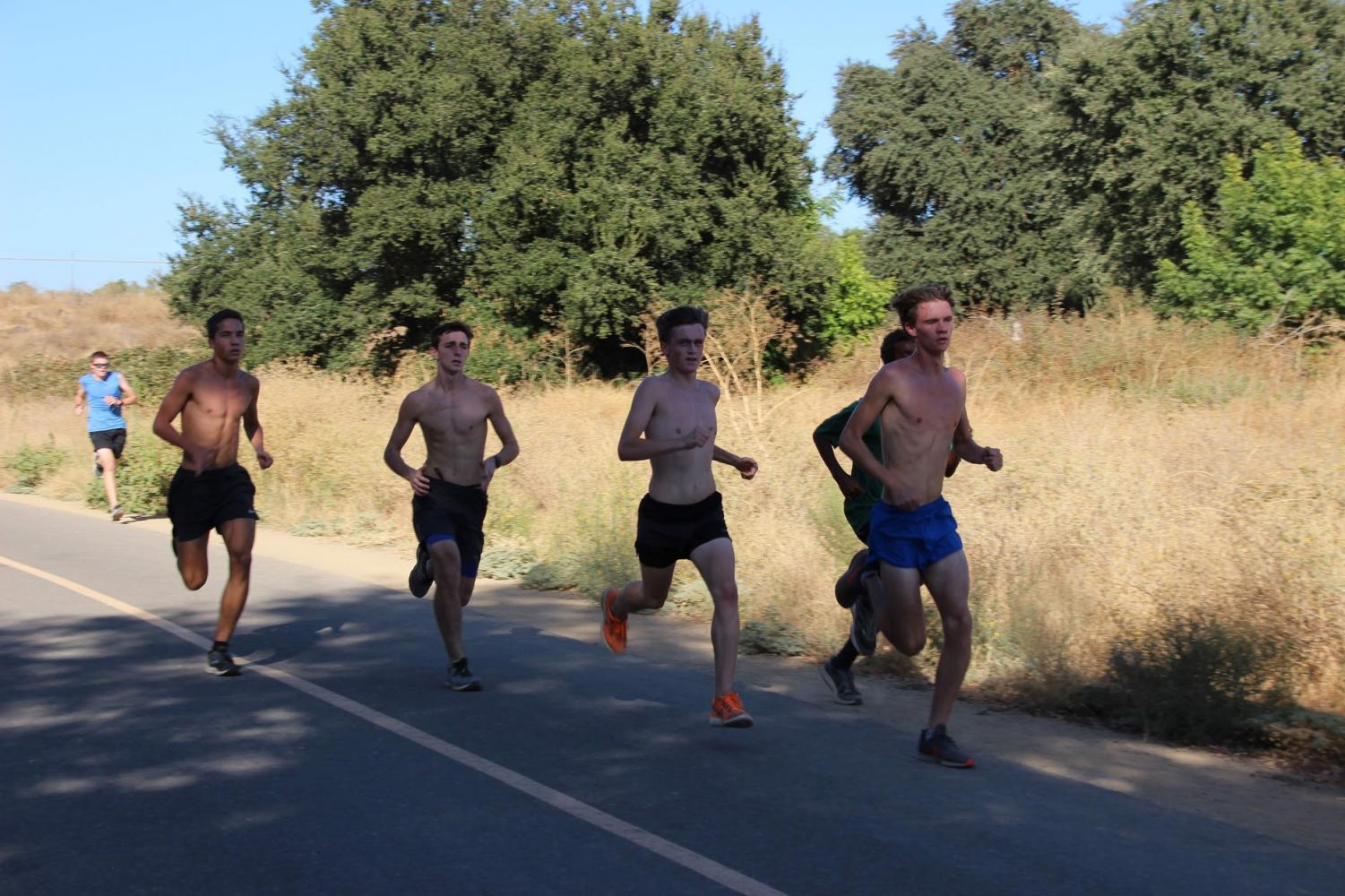 Cross Country