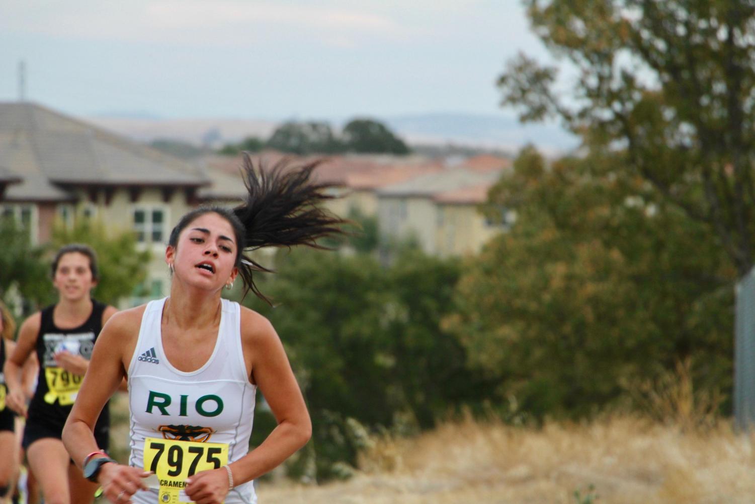 Cross Country