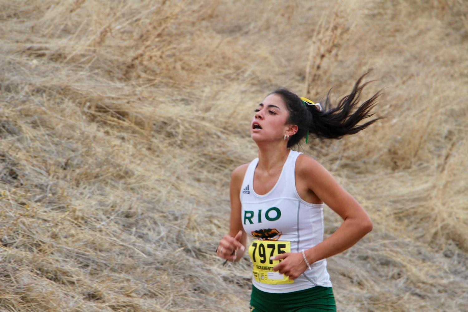 Cross Country