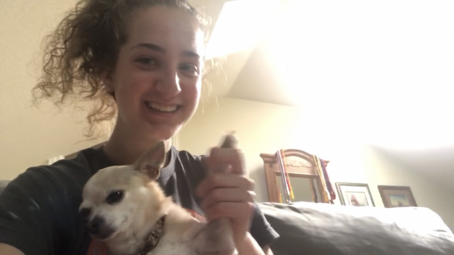 Gorman spends time with her Chihuahua during quarantine.