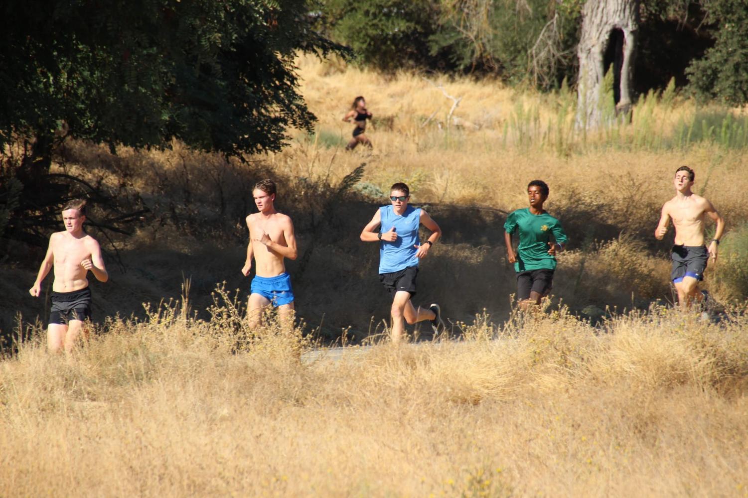 Cross Country