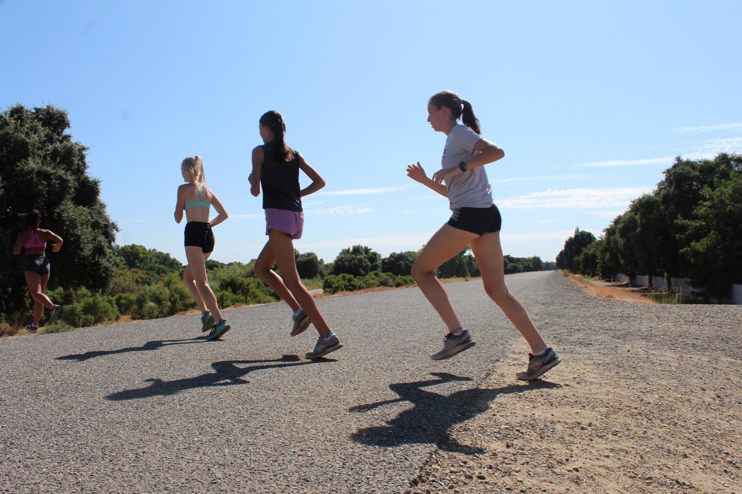 Cross Country